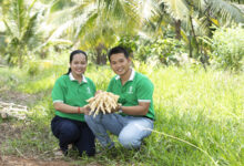 Starup khởi nghiệp từ việc thu hoạch mật hoa dừa thu gần nửa tỷ mỗi tháng 8