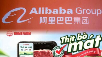 2 startup Việt được quỹ đầu tư Alibaba rót vốn khủng