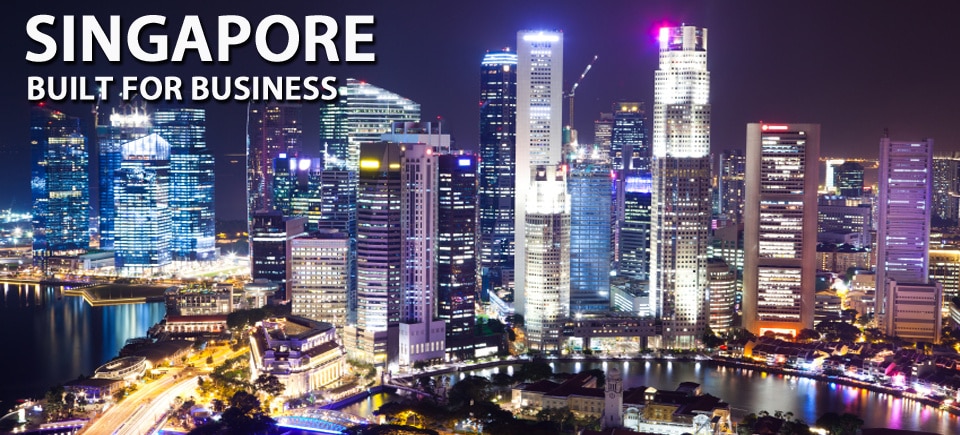 Khi khởi nghiệp Việt khai sinh tại Singapore 14