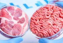 Startup nuôi cấy thịt tổng hợp nhận vốn 47 triệu USD 1