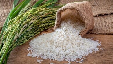 Top 10 doanh nghiệp xuất khẩu gạo hiện nay